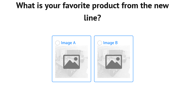 Survey MalerLite 4